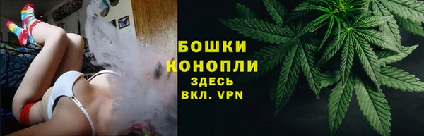 дживик Новозыбков