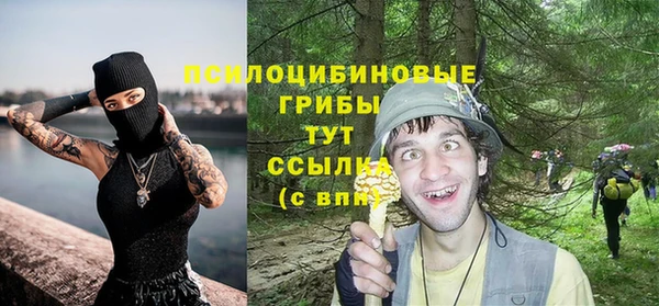 гидра Нязепетровск
