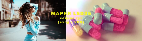 крисы Няндома