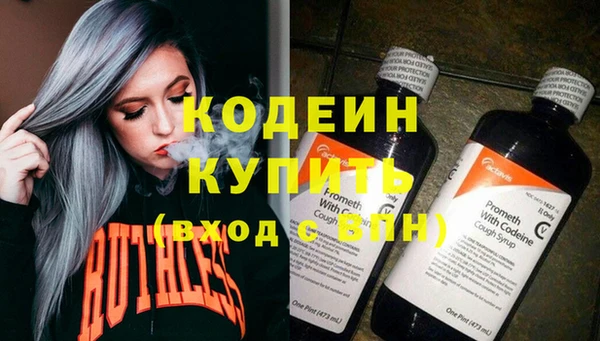крисы Няндома