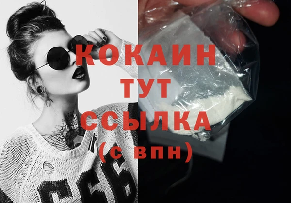 крисы Няндома