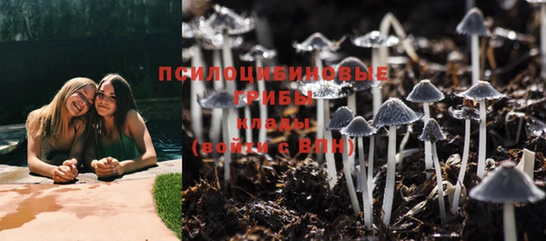 стаф Нягань