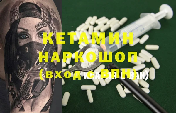 крисы Няндома