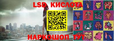 прущие грибы Абакан