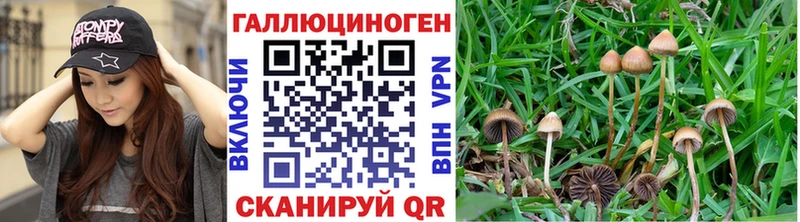 omg вход  Елабуга  Галлюциногенные грибы ЛСД 