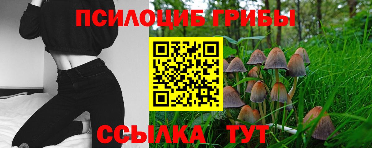 Галлюциногенные грибы Magic Shrooms Елабуга