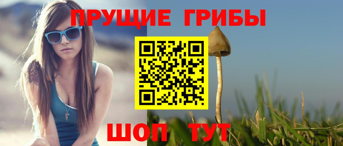 Псилоцибиновые грибы мухоморы  Вход с VPN  Псилоцибиновые грибы GOLDEN TEACHER  Елабуга 